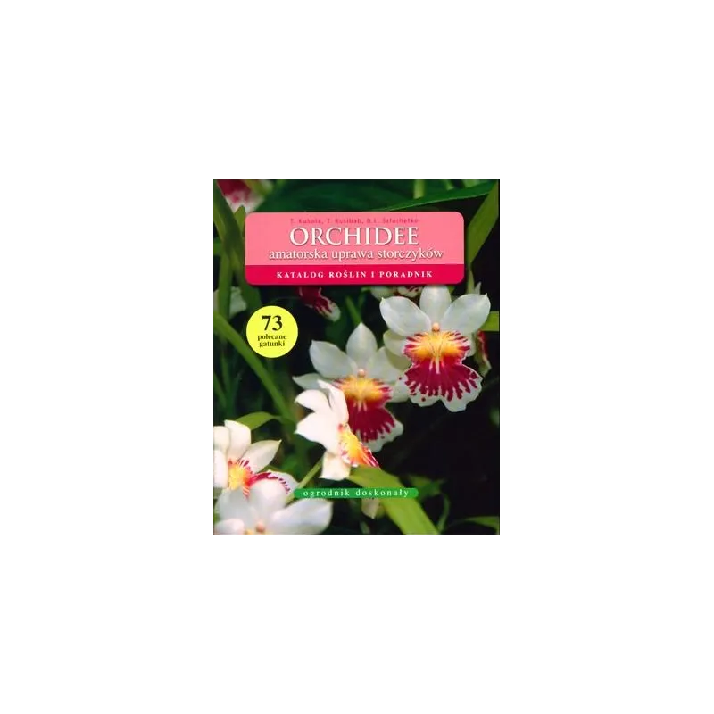 ORCHIDEE AMATORSKA UPRAWA STORCZYKÓW Tomasz Kubala Dariusz L. Szlachetko Tadeusz Kusibab