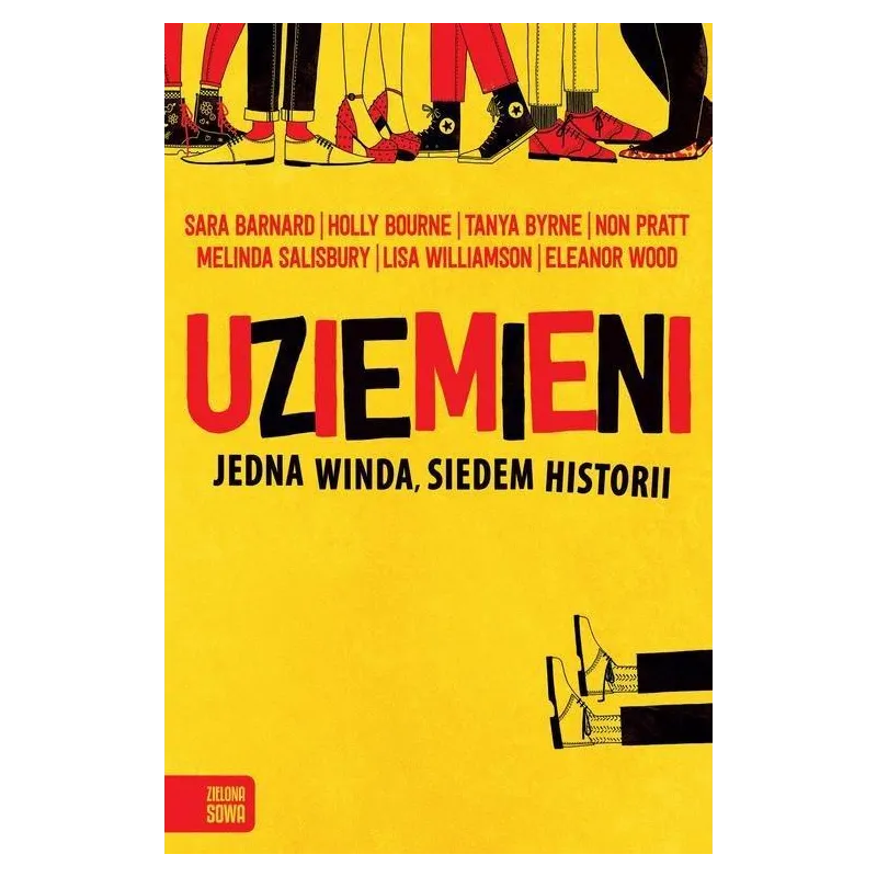 UZIEMIENI JEDNA WINDA, SIEDEM HISTORII 15+ II GATUNEK Sara Barnard - Zielona Sowa