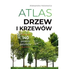 Aleksandra Halarewicz