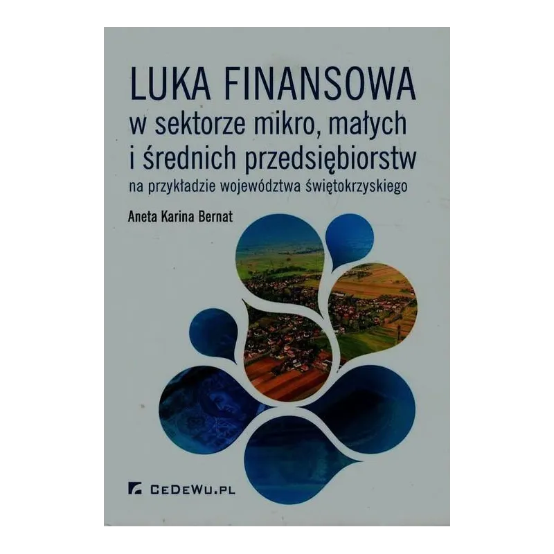 LUKA FINANSOWA W SEKTORZE MIKRO MAŁYCH I ŚREDNICH PRZEDSIĘBIORSTW NA PRZYKŁADZIE WOJEWÓDZTWA ŚWIĘTOKRZYSKIEGO Aneta Be...