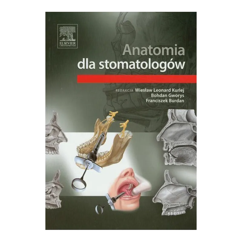 ANATOMIA DLA STOMATOLOGÓW