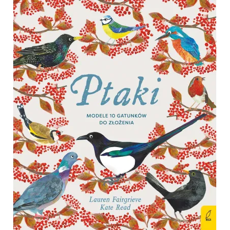 Ptaki. Modele 10 Gatunków Do Złożenia
