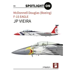 MCDONELL DOUGLAS BOEING F15 EAGLE JP Viera