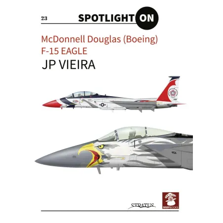 MCDONELL DOUGLAS BOEING F15 EAGLE JP Viera
