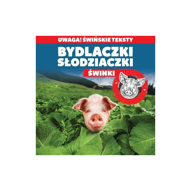 BYDLACZKI SŁODZIACZKI ŚWINKI Rafał Kowalski - Damidos
