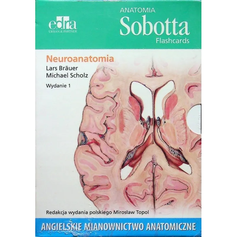 NEUROANATOMIA. ANATOMIA SOBOTTA FLASHCARDS. ANGIELSKIE MIANOWNICTWO ANATOMICZNE - Edra Urban & Partner