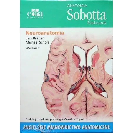 NEUROANATOMIA. ANATOMIA SOBOTTA FLASHCARDS. ANGIELSKIE MIANOWNICTWO ANATOMICZNE - Edra Urban & Partner