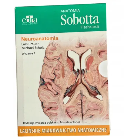 Anatomia Sobotta Flashcards Neuroanatomia. Łacińskie Mianownictwo Anatomiczne