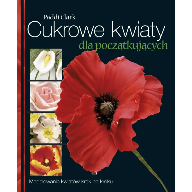CUKROWE KWIATY DLA POCZĄTKUJĄCYCH. MODELOWANIE KWIATÓW KROK PO KROKU - APN Promise