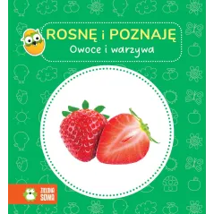 OWOCE I WARZYWA. ROSNĘ I POZNAJĘ