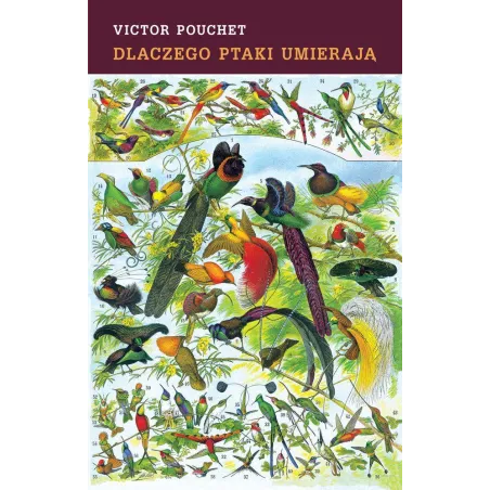 DLACZEGO PTAKI UMIERAJĄ Victor Pouchet - Czarna Owca