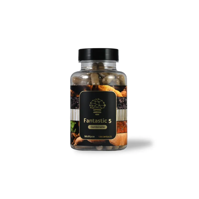 SUPLEMENT DIETY PIĘĆ GRZYBÓW LECZNICZYCH – CHAGA, REISHI, CORDYCEPS, SOPLÓWKA, WROŚNIAK 120 KAPSUŁEK