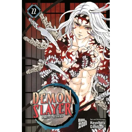 DEMON SLAYER - KIMETSU NO YAIBA 22