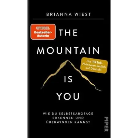 THE MOUNTAIN IS YOU