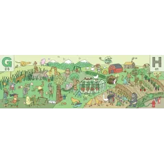 MAM OKO NA LITERY 3+ Aleksandra i Daniel Mizielińscy - Dwie Siostry