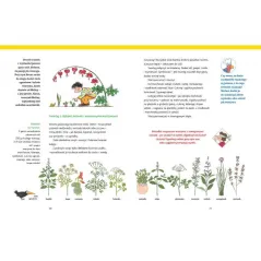 WIELKIE GOTOWANIE NA ULICY CZEREŚNIOWEJ 6+ Dagmar von Cramm