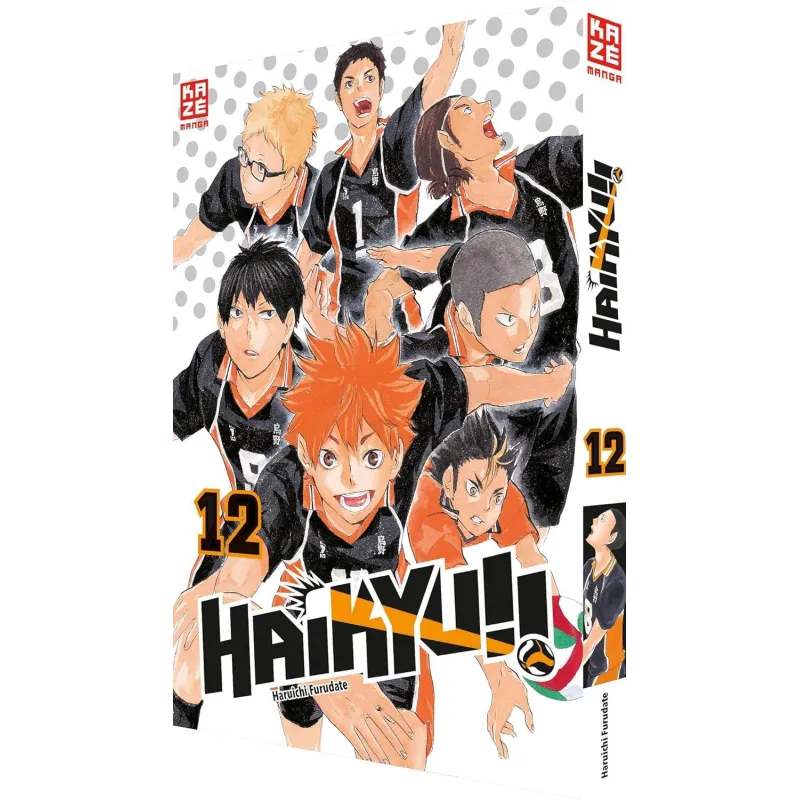 HAIKYU!! 12