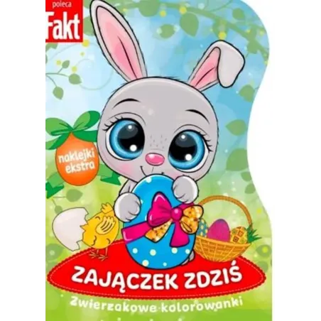 Zajączek Zdziś. Zwierzakowe Kolorowanki Zajączek Zdziś. Zwierzakowe Kolorowanki