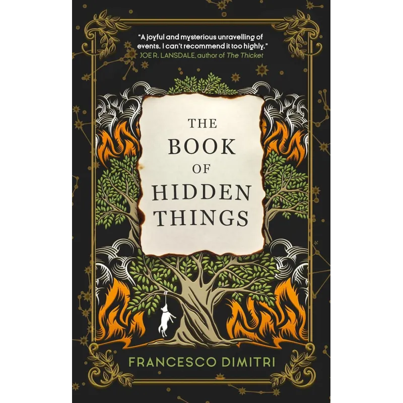 THE BOOK OF HIDDEN THINGS