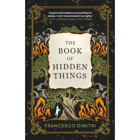 THE BOOK OF HIDDEN THINGS