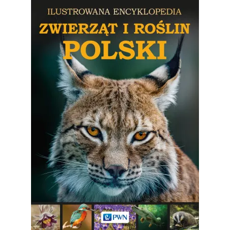 ILUSTROWANA ENCYKLOPEDIA ZWIERZĄT I ROŚLIN POLSKI