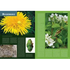 Ilustrowana Encyklopedia Zwierząt I Roślin Polski