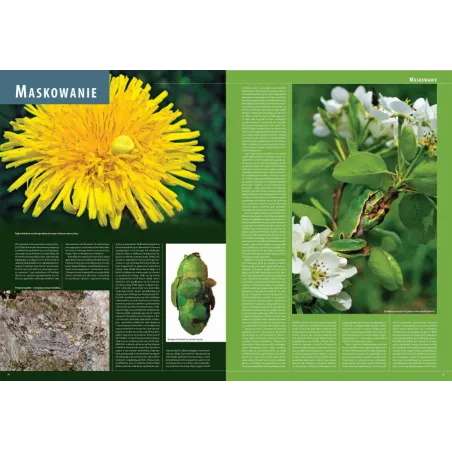 Ilustrowana Encyklopedia Zwierząt I Roślin Polski