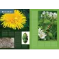 Ilustrowana Encyklopedia Zwierząt I Roślin Polski Ilustrowana Encyklopedia Zwierząt I Roślin Polski