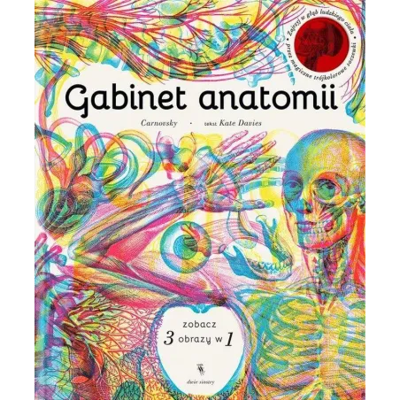 Kate Davies Carnovsky