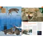 Ilustrowana Encyklopedia Zwierząt I Roślin Polski Ilustrowana Encyklopedia Zwierząt I Roślin Polski