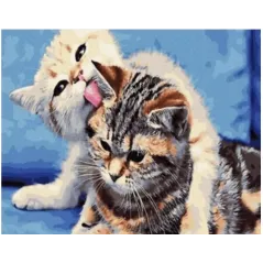 MALOWANIE PO NUMERACH DWA KOTY NORIMPEX 40X50 CM 7+