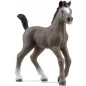Figurka Źrebaka Selle Français Schleich 4+