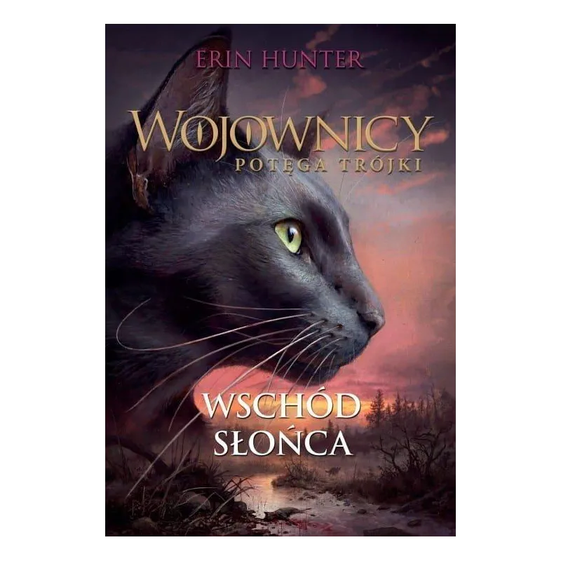 WOJOWNICY. WSCHÓD SŁOŃCA. POTĘGA TRÓJKI