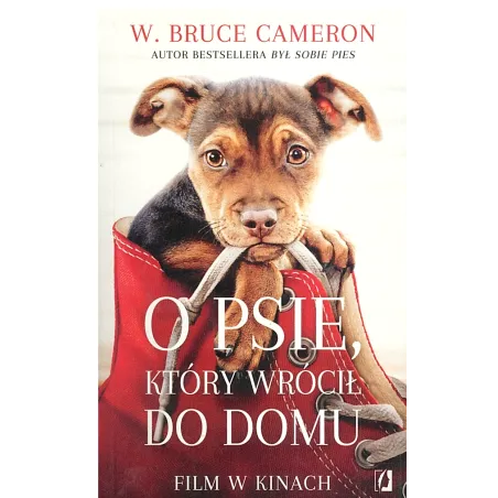 O Psie, Który Wrócił Do Domu