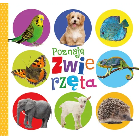 Poznaję Zwierzęta Książeczka Z Piktogramami