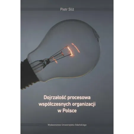 Dojrzałość Procesowa Współczesnych Organizacji W Polsce Piotr Sliż
