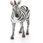 Figurka Zebra Samica Wild Life Zwierzęta Schleich 3+