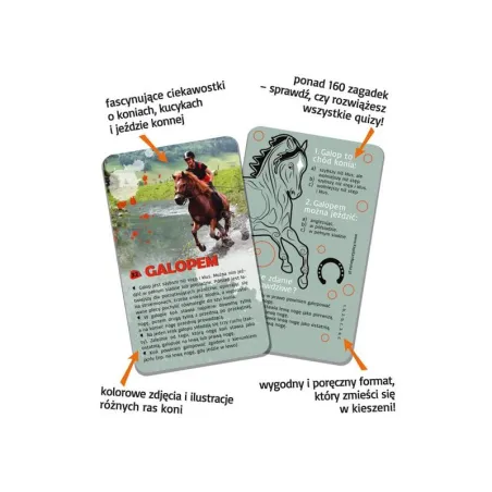 Kapitan Nauka Superquiz Konie 7+ Ii Gatunek