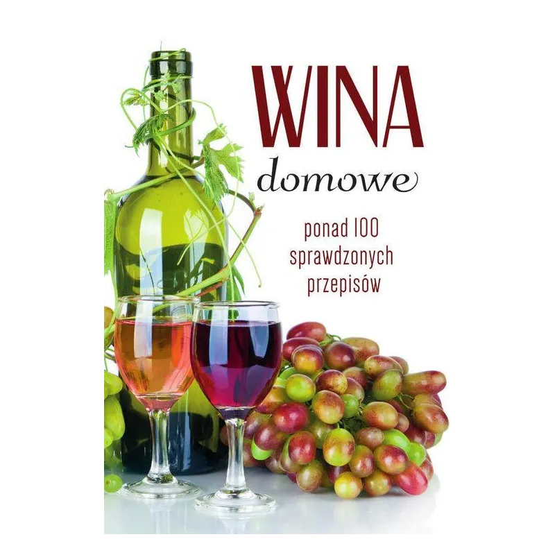 WINA DOMOWE. PONAD 100 SPRAWDZONYCH PRZEPISÓW