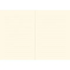 Mały Notatnik W Linie 160 Stron Peter Pauper Press B6