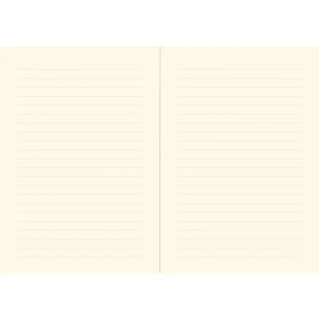 Mały Notatnik W Linie 160 Stron Peter Pauper Press B6