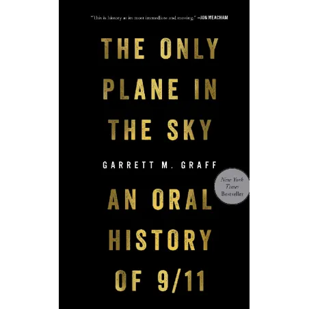 The Only Plane In The Sky