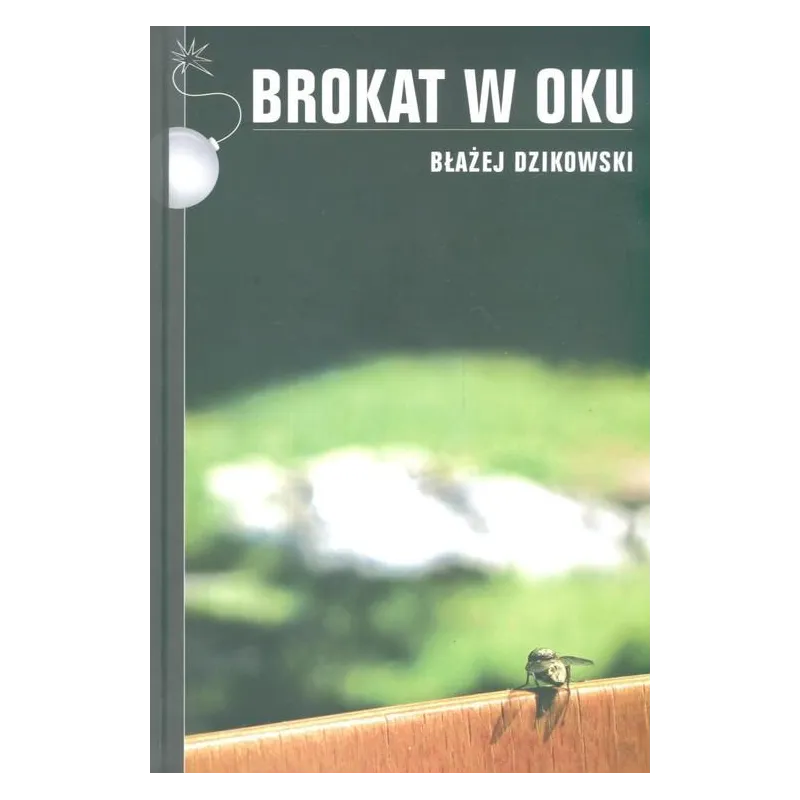 BROKAT W OKU Błażej Dzikowski - Rzeczpospolita