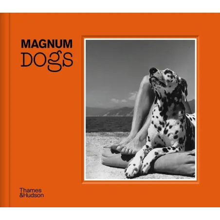 Magnum Dogs