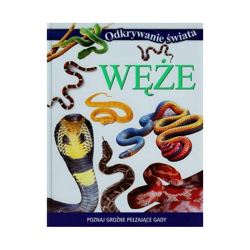 WĘŻE. ODKRYWANIE ŚWIATA - Olesiejuk