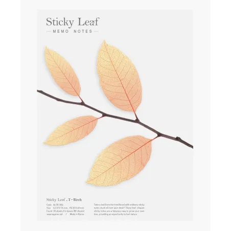 Karteczki Samoprzylepne Brzoza L Appree 4 X 20 Kartek