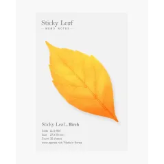 KARTECZKI SAMOPRZYLEPNE BRZOZA S 20 SZTUK APPREE