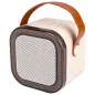 Karaoke Dla Dzieci Głośnik Bezprzewodowy 2 Mikrofony Bluetooth