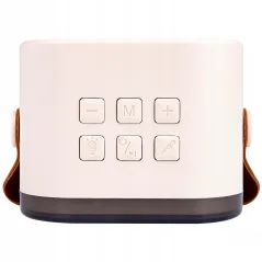 KARAOKE DLA DZIECI GŁOŚNIK BEZPRZEWODOWY 2 MIKROFONY BLUETOOTH