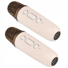 KARAOKE DLA DZIECI GŁOŚNIK BEZPRZEWODOWY 2 MIKROFONY BLUETOOTH